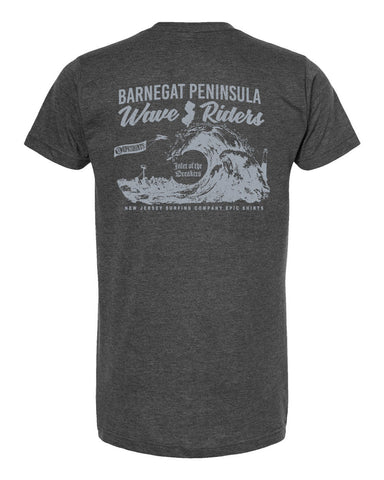 barnegat peninsula t